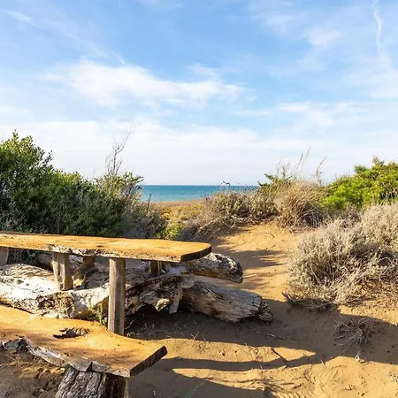 Nautilus * Castagneto Carducci