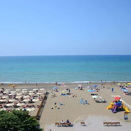 Nautilus Castagneto Carducci