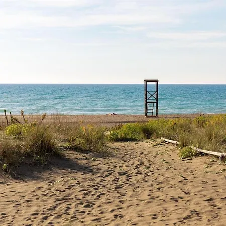 Nautilus * Castagneto Carducci